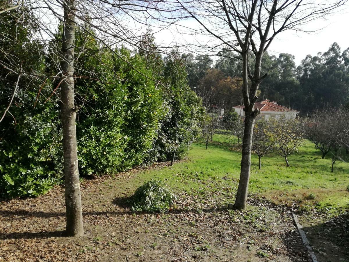 Villa Casa Da Costeira à Figueiro Extérieur photo